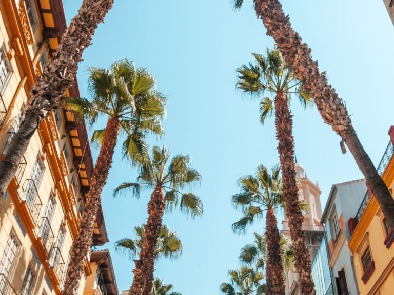 Visiter Cannes à pied