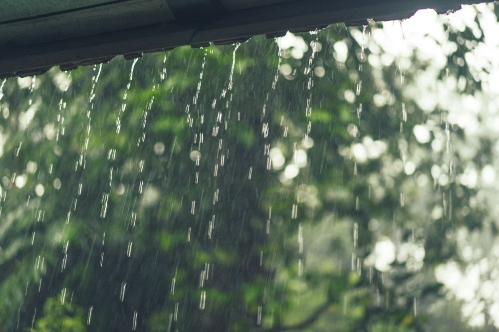 Activités à faire à Cannes sous la pluie